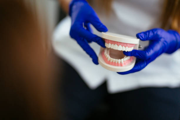 Professional Dental Services in Corydon, IN